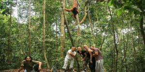Jungle Trek in Bukit Lawang with Taro Tour Team