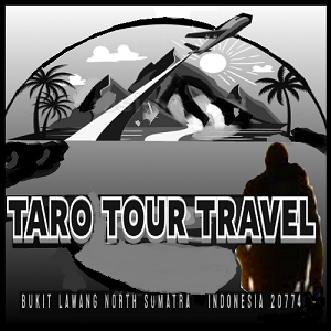 Taro Tour Travel Logo
