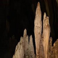 Bat Cave in Bukit Lawang