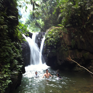 jungle waterfall
